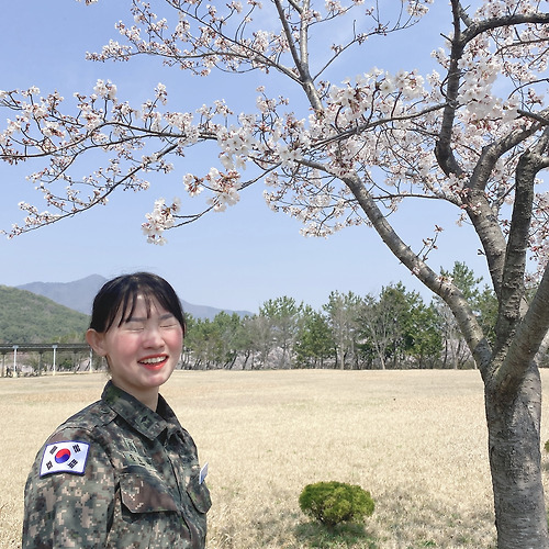 카지노 게임 사이트필 이미지