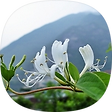 운봉산악회 산행일기, 블로그 홈