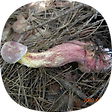 산따라 만리길-2, 블로그 홈