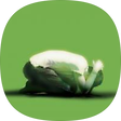kaleo, 블로그 홈