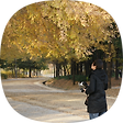 잘하고 싶은 웹개발자, 블로그 홈