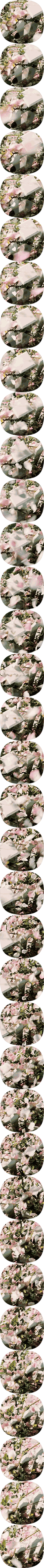 세렌티피티, 블로그 홈