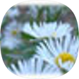게으른 자여 개미에게로 가서 그 하는 것을 보고 지혜를 얻으라[잠언6:6], 블로그 홈