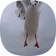 영비스토리, 블로그 홈
