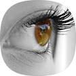EYEBLOG, 블로그 홈