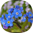 perero's blog, 블로그 홈
