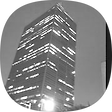 Developer, 블로그 홈