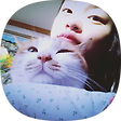 퀵클라큐쿄디모미아, 블로그 홈