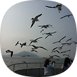 모든 정보 모으고 나누기, 블로그 홈