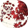 + + darkMaple + +, 블로그 홈