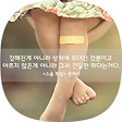 공부하는 푸우, 블로그 홈