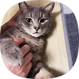 Hello Brother!, 블로그 홈
