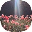 mysqler*, 블로그 홈