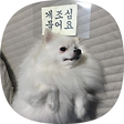 개밥주는남자, 블로그 홈