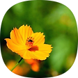 신바람나는 세상, 블로그 홈