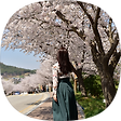 솜비 BLOG, 블로그 홈