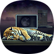 relax, tiger, 블로그 홈