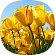 행복이 넘치는 라띠 Blog, 블로그 홈