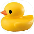 Eunduck의 일상 공유, 블로그 홈