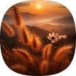 The resurrection faith of Hyojong, 블로그 홈