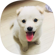 흔한 집순이, 블로그 홈
