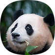 무회 Blog, 블로그 홈