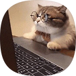 IT blog, 블로그 홈