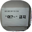 초보개발자의 연대기, 블로그 홈
