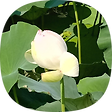 세이루루blog, 블로그 홈
