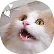 모든 영화 정보 모음, 블로그 홈