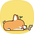까즈자료실, 블로그 홈