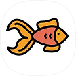 🐠붕어의 코딩 공부 기록🐠, 블로그 홈