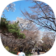 빅마더의 재테크, 블로그 홈