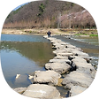 스톡사진, 
과연 해볼만한 일인가?, 블로그 홈