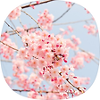 마루의 일상, 블로그 홈
