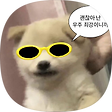 성장하는 중, 블로그 홈