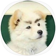 Jadevlog, 블로그 홈