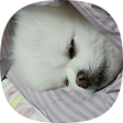 JJ_blog, 블로그 홈