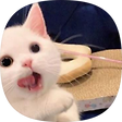 문과생 코드몽끼, 블로그 홈