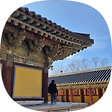 튤립, 블로그 홈