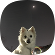 CometStory, 블로그 홈