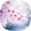 an idea or belief that is not true, 블로그 홈