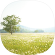 woongeverything, 블로그 홈