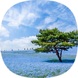배추도사, 블로그 홈