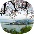 직장인의 실무 이야기, 블로그 홈