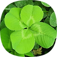 365luckylife, 블로그 홈