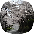 역사교사개발키트, 블로그 홈