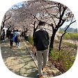 정보상자, 블로그 홈