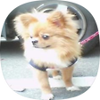 자로소의 경제와 생활정치, 블로그 홈