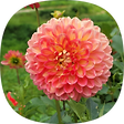 멈추고 바라보기, 블로그 홈